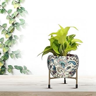 CINAGRO Metal Flower Vase Planter Pot with Iron Stand, Pots for Plants, Plant Pots for Home Decoration, Succulent Pot, Indoor Planter Garden Decor Style: Sunlit Symphony