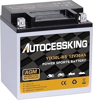 Autocessking YTX30L-BS Motorcycle Battery, 12V 30AH Rechargeable Maintenance Free Sealed AGM Battery Powersport Replacement Battery for ATV and Scooter