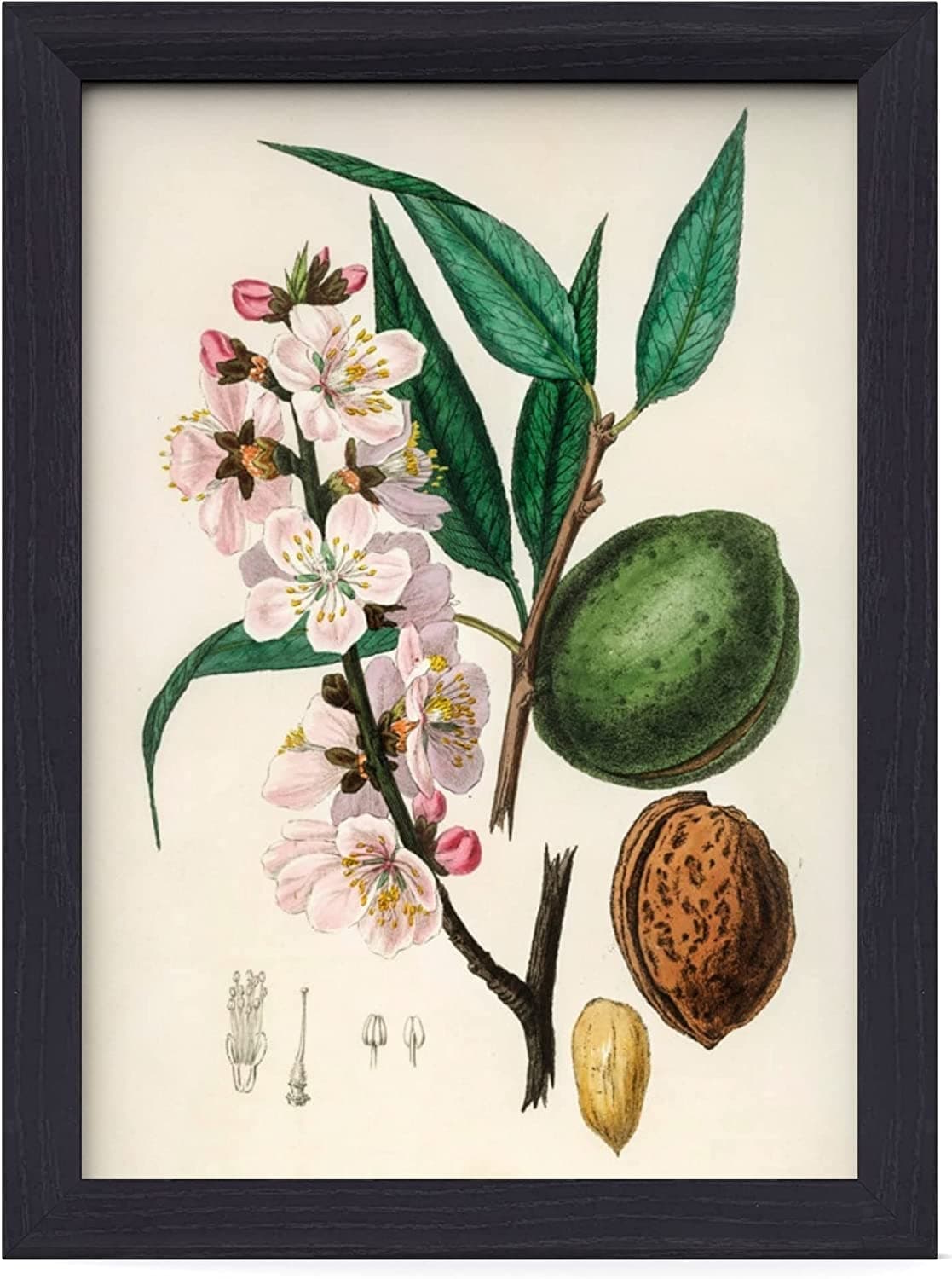 MH Traders 3 Pack Black A3 Picture Frame - Wall Mounted Photo Frame for Pictures Posters & Certificates - 30 x 42 CM A3 Size Compact Picture Frames