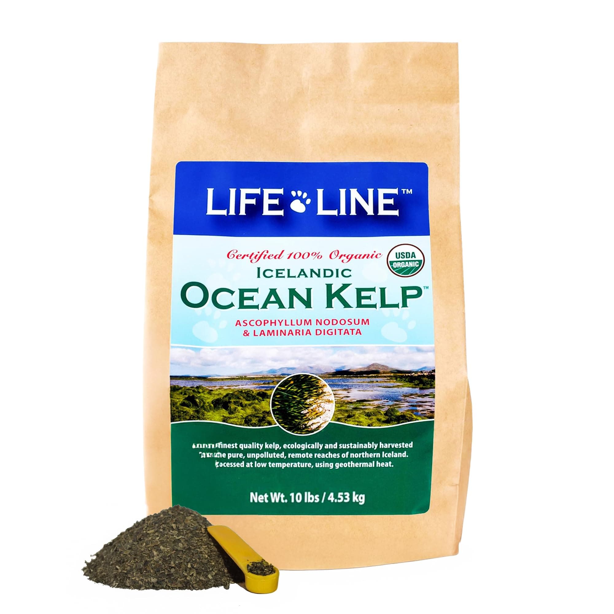 Life Line Organic Ocean Canister Kelp for Cats, Dogs, Livestock, and Horses | Supports Skin, Coat & Immune Health – Reduces Tartar, Plaque & Shedding – Increases Metabolism and aids Digestion -10 lb