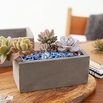 VGOODALL Glass Pebbles Approx.620g Bulk Pack - 120 Glittering Stones for Home Decor, Fish Tank Landscaping & Plant Glass Gems,Table Decorative Beads