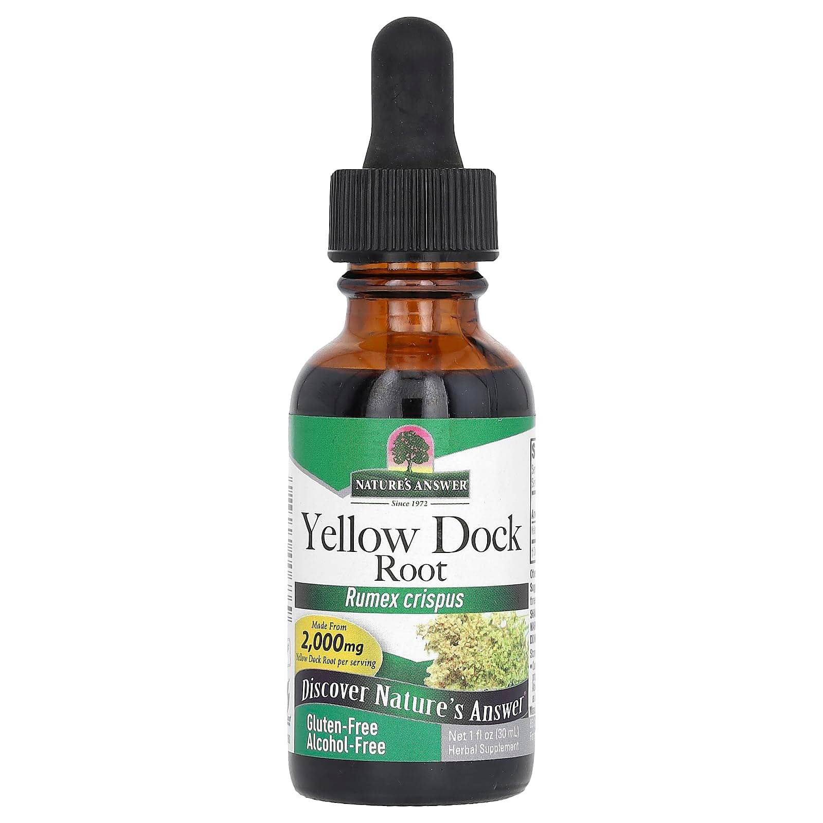 Yellow Dock Root Alcohol Free 2000mg 1oz | Promotes Liver Function | Natural Body Detox | Supports Digestion | Gluten-Free, Non-GMO, Vegan | Single Count