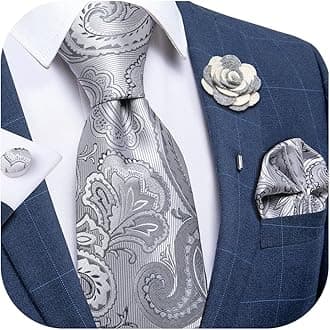 DiBanGu Silk Ties for Men Necktie and Lapel Pin Brooch Set Formal Woven Paisley Plaid Striped Solid Tie Wedding Party