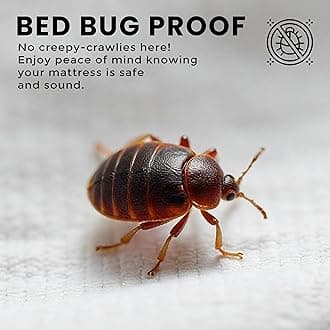 Utopia Bedding Premium Waterproof Bed Bug Mattress Cover, King Zippered Mattress Protector, 12 Inches Deep, Dust Mite Proof 6-Sided Mattress Encasement for Bed (Pack of 10)