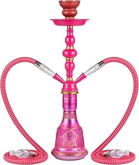 20" Hookah set - 2 Hose Premium Shisha Hookah Kit with Glass Vase, Ceramic Bowl and Coal Tongs Ashtray (Pink)