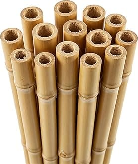 Blado Thick Bamboo Canes - Heavy Duty, Natural Garden Stakes, Strong Bamboo Sticks for Plant Support - Ideal for Gardens and Outdoor Spaces 2FT, 3FT, 4FT, 5FT, 6FT (100, 3ft, 10-12mm)
