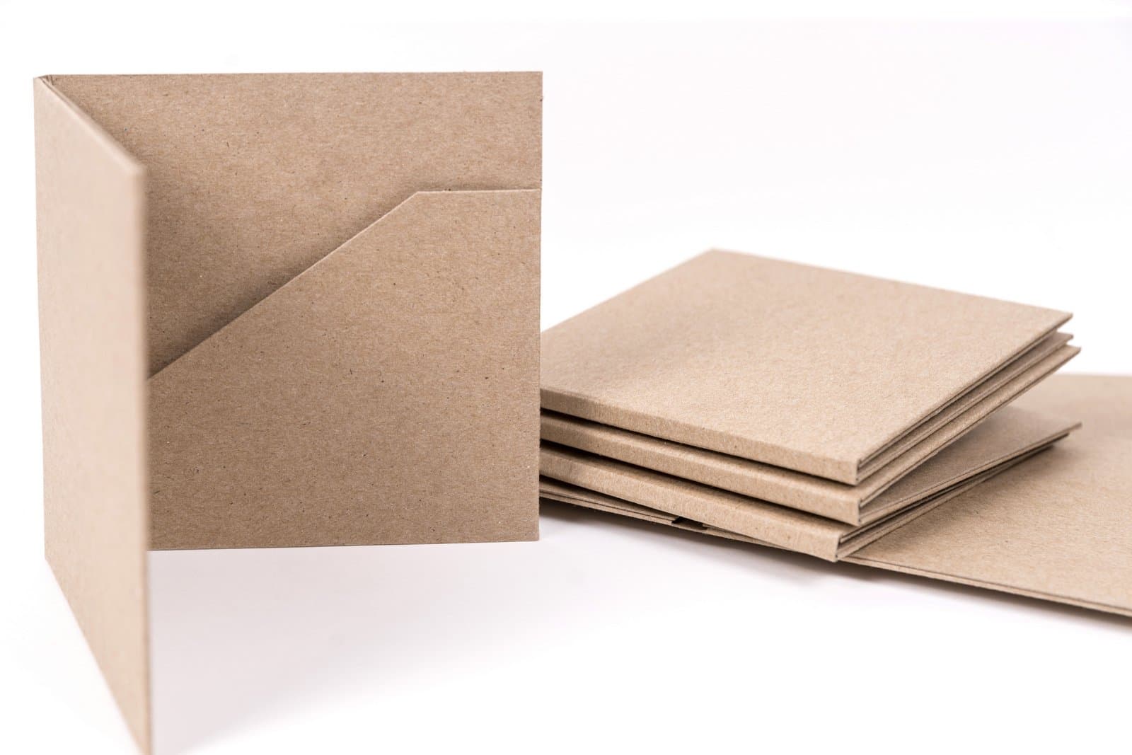 Kraft CD Case Two Pocket with Booklet holder - Pack of 25