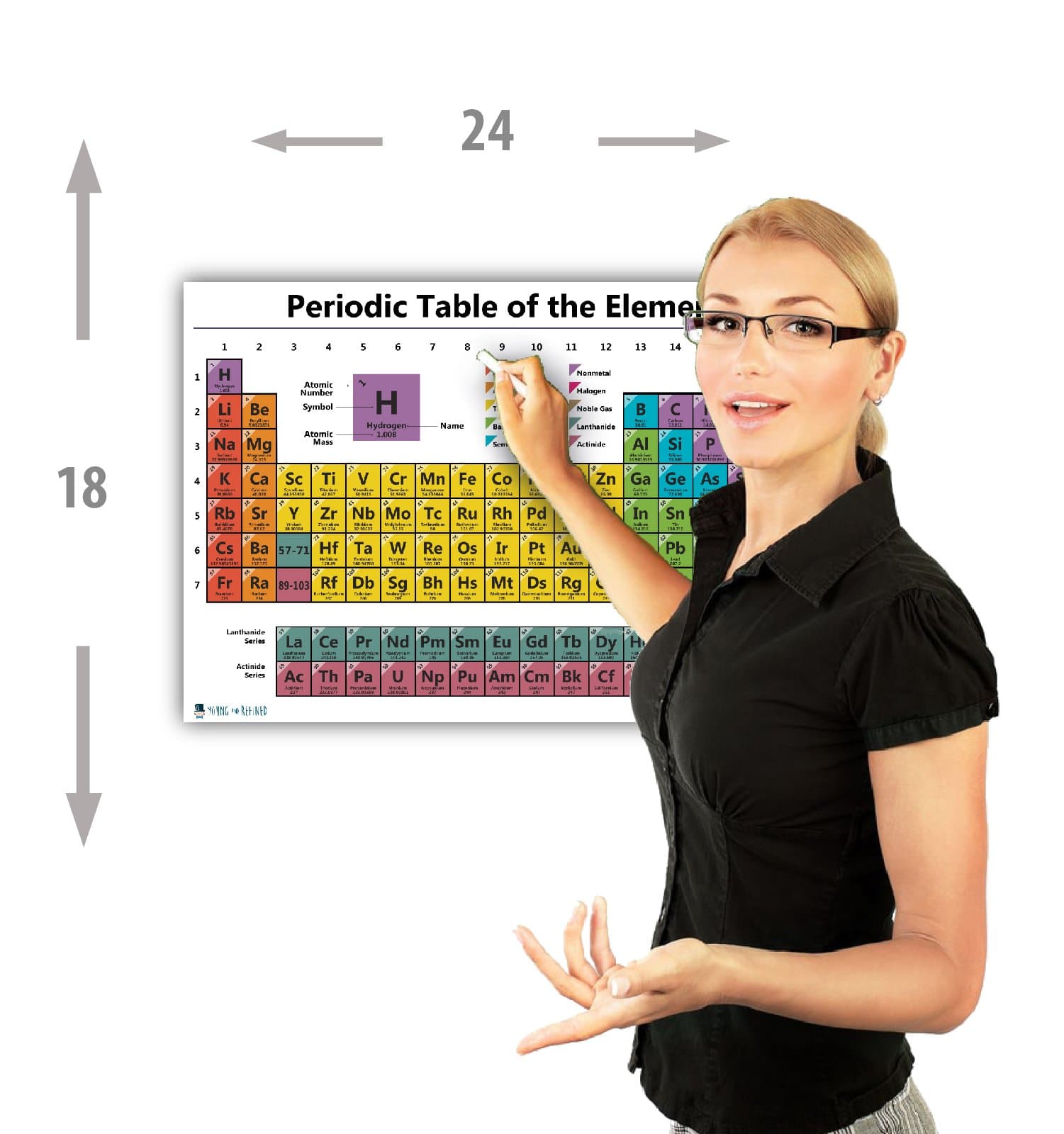 Periodic Table Science Laminated Chart Education White Atomic Classroom Poster-Premium Educator Atomic Number Guide 2021 Edition (18 x 24 inches) Young N Refined