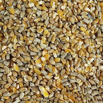 BusyBeaks Chicken Corn Extra | Premium Grade Poultry Feed | Nutritious Oyster Shell, Layers Pellets, Fibre Wheat & Split Maize | High Energy, Protein-Rich Food Mix | Perfect Year-Round Seed (25kg)