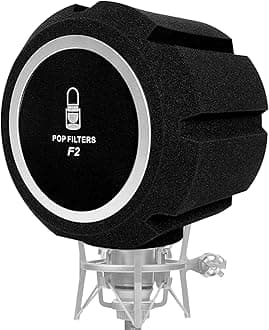 Microphone Pop Filter, Professional Mic Windscreen, Thick Wind Shield Acoustic Filter for 45mm-60mm Recording Studios Microphones, Sound-Absorbing Foam that Reduces Noise and Reflections