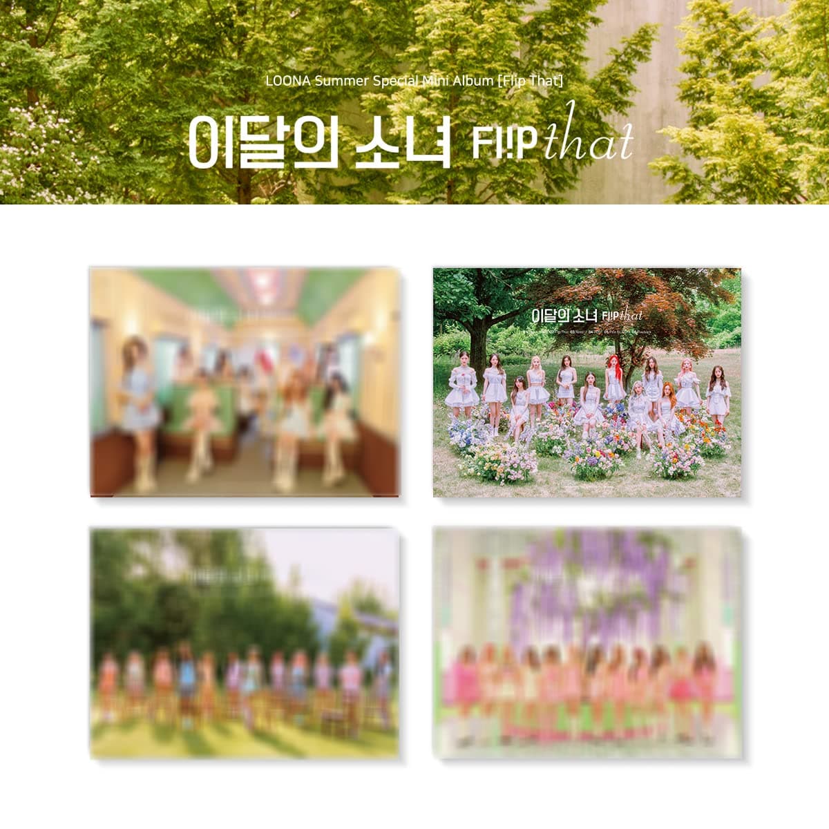 Summer Special Mini Album : Flip That