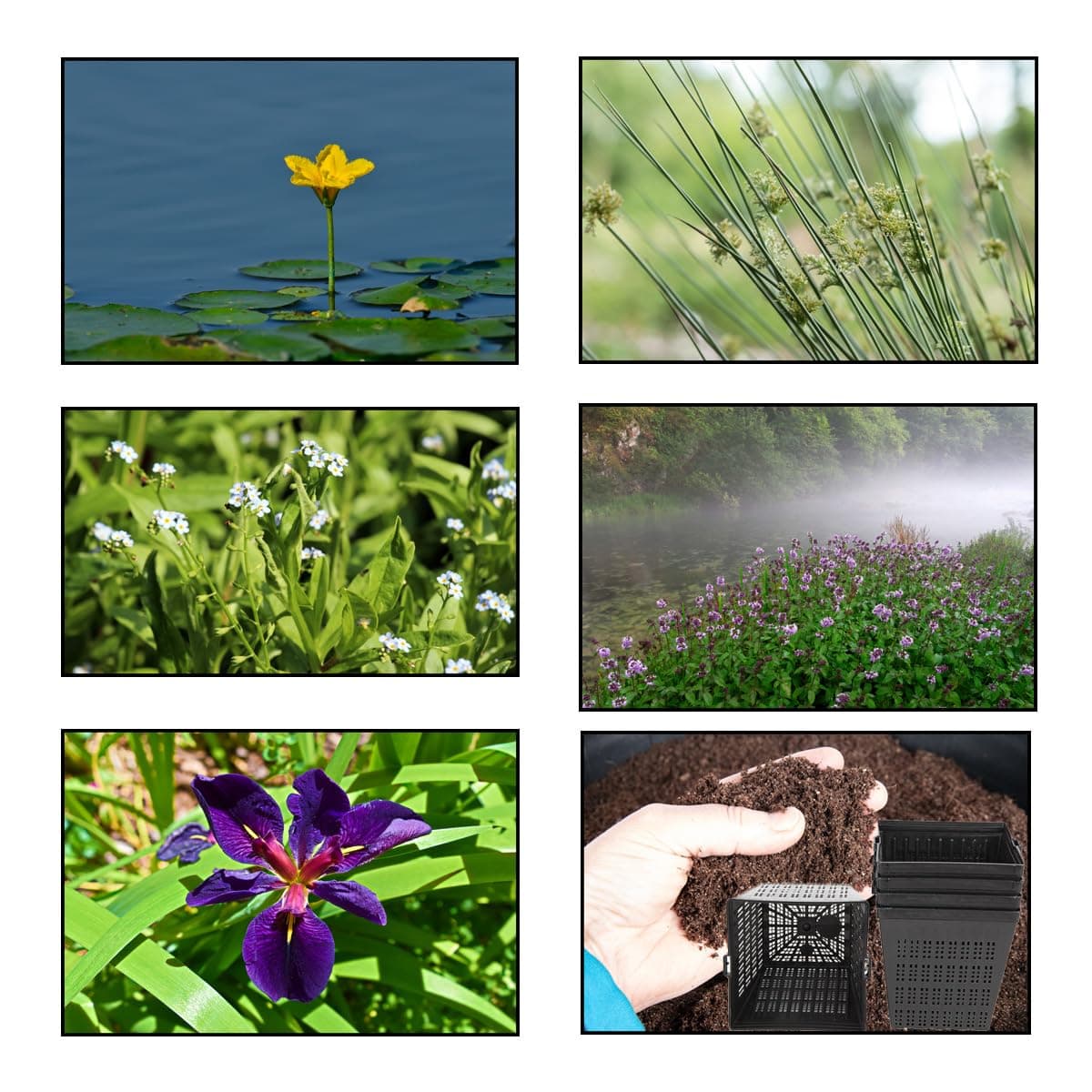 โ Pond Starter & Top up Pack - Oxygenating - Compost and Pots (XS)