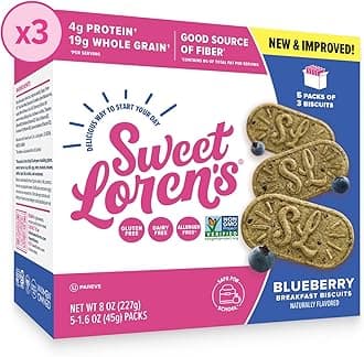 Vegan Breakfast Biscuits | Blueberry | 4g Protein, 19g Whole Grains | Plant Based, Gluten Free, Dairy Free, Nut Free Snacks | 3 Pack (45 Total Biscuits, 1.6 ounce each)