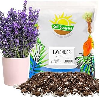 Soil Sunrise Lavender Potting Soil Mix (8 Quarts) Indoor/Outdoor Container Gardening Blend for Lavender Herb Plants