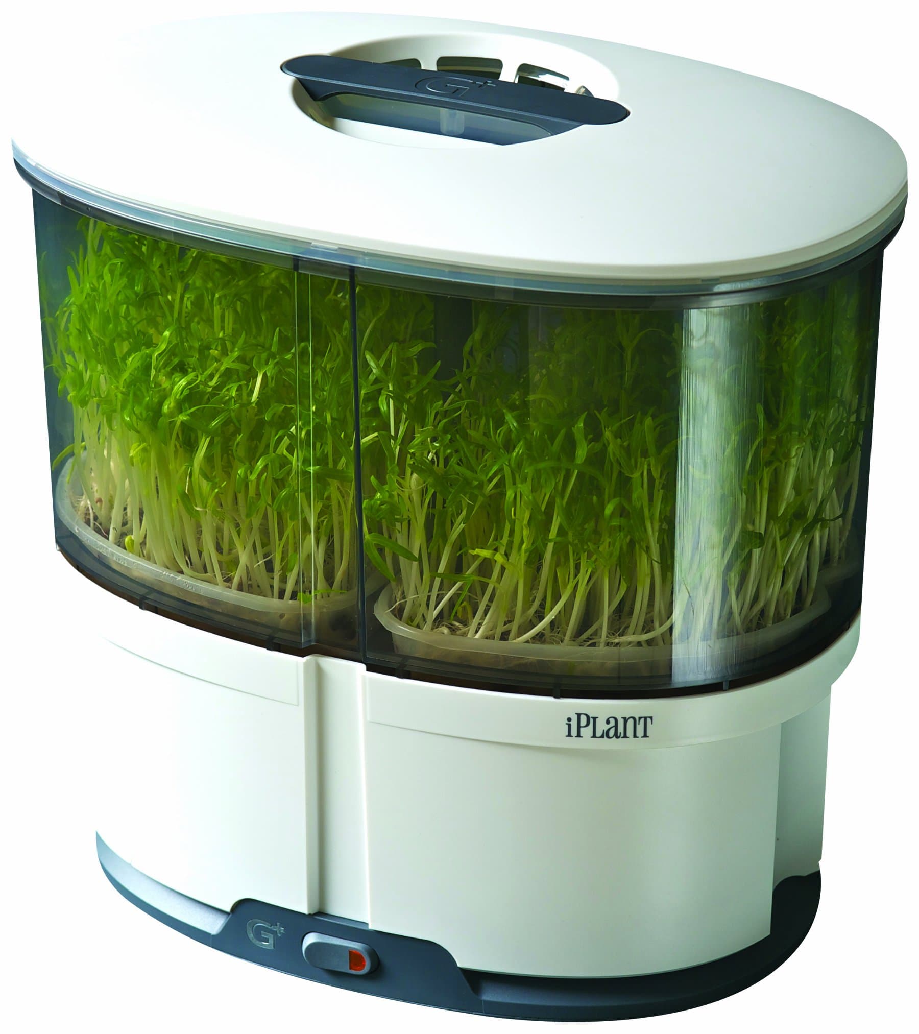 iPlant Sprout Garden, White