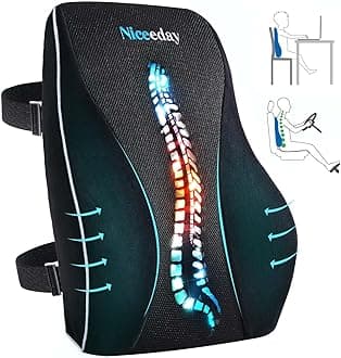Niceeday Lumbar Support Pillow for Office Chair Car Back Support Pillow, Memory Foam Gaming Chair Desk Chair Back Cushion for Lower Back Pain Relief, Ergonomic Back Rest,Office Home Essentials