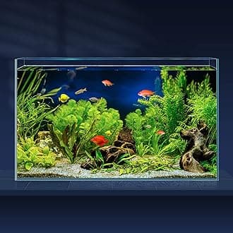 LAQUAL Aquarium Fish Tank 30.5L Ultra Clear Glass Rimless Low Iron Aquarium for Betta/Nano/Goldfish/Snail/Shrimp, Large Fish Tank, Cover Set, Feeding Ring and Cleaning Tools