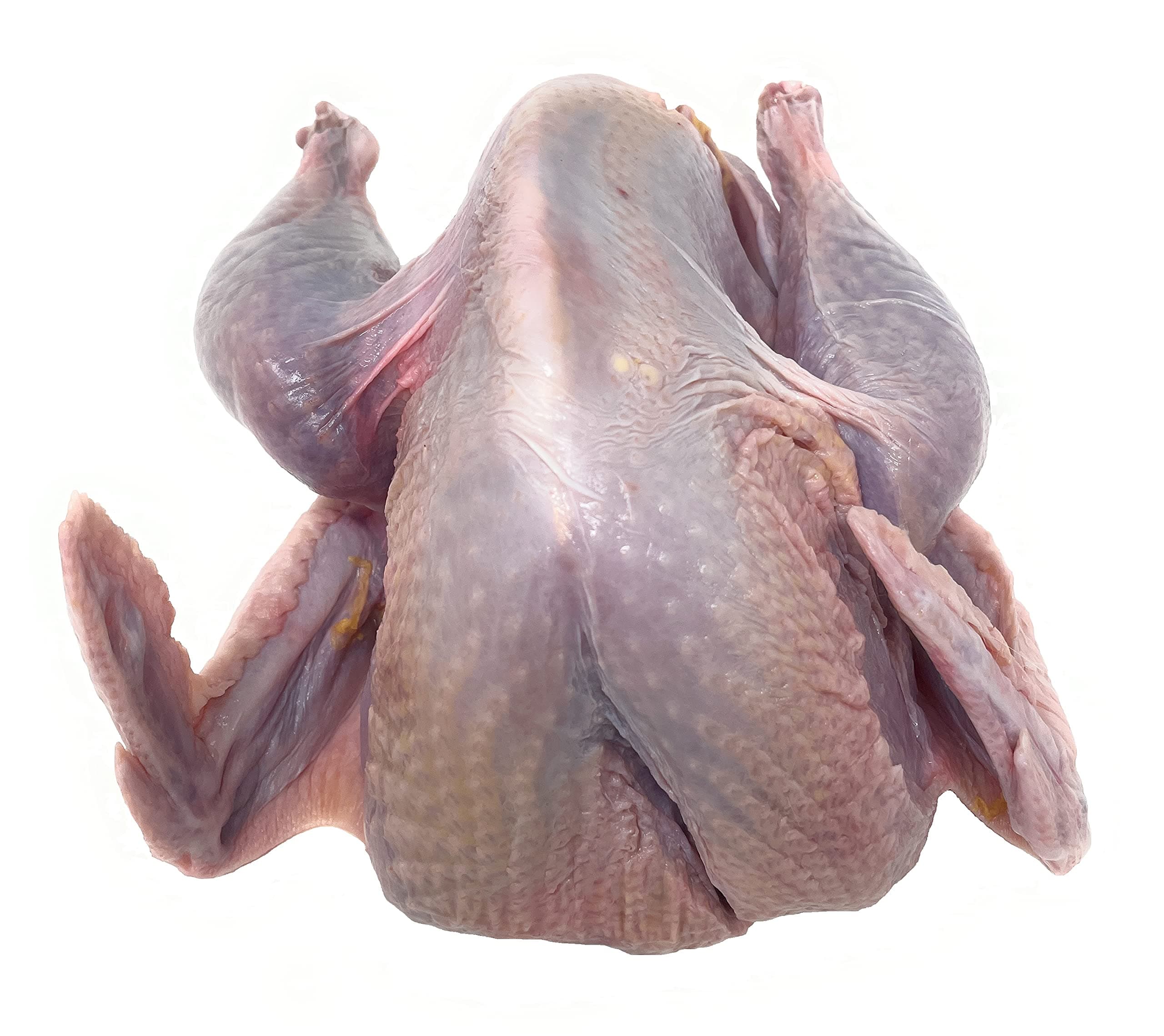 Macfarlane All Natural Whole Pheasant, 2.2-2.5 lb Average, Frozen, Certified Humane