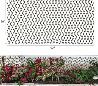 Expandable Garden Trellis Plant Support Willow Lattice Fence Panel for Climbing Plants Vine Ivy Rose Cucumbers Clematis