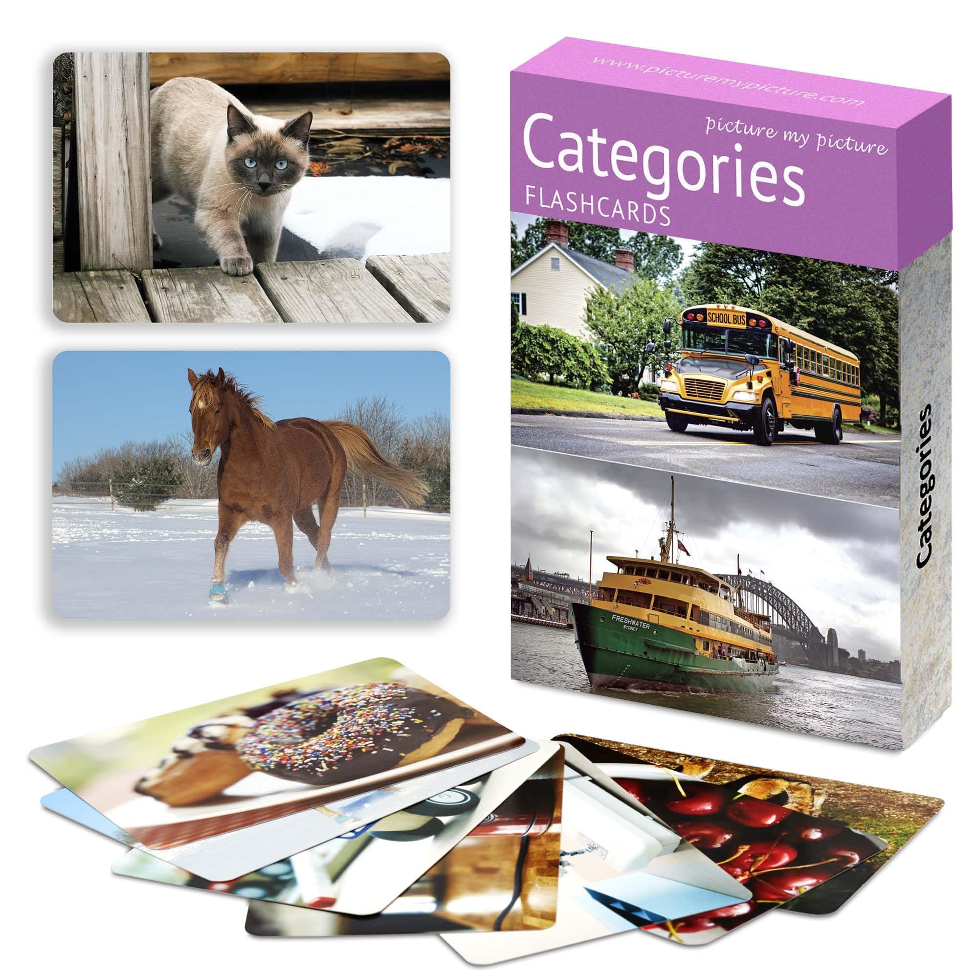Picture My Picture Categories Flash Card Set – Speech Therapy Tool for Vocabulary, Communication & Thinking, Scratch-Resistant with Activity Guide, Suitable for Education, ESL & ABA – Set of 40