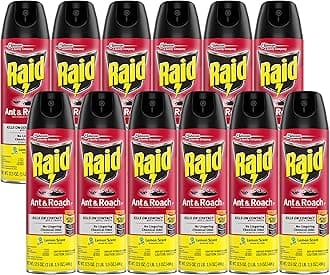 Raid Ant & Roach Killer Spray For Listed Bugs, Keeps Killing for Weeks, Lemon Scent, 17.5 oz