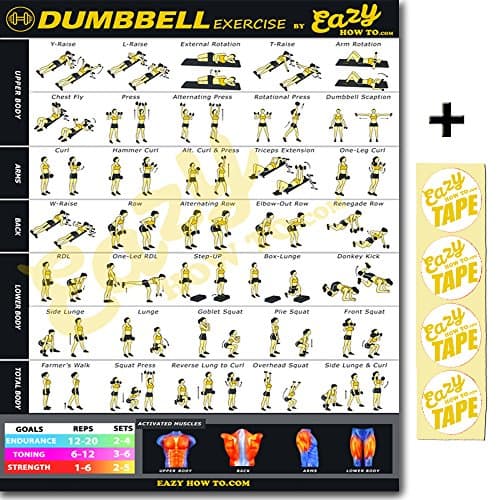 Eazy How To Dumbbell Exercise Workout Poster BIG 51 x 73cm Train Endurance, Tone, Build Strength & Muscle Home Gym Chart