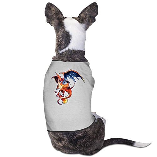 Ror Charizard Mega Doggy T-Shirt Gray