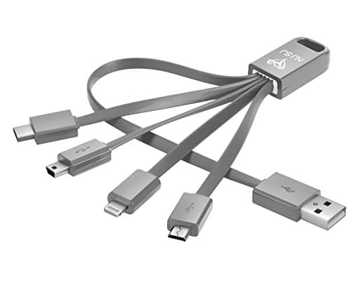 NJSJ 4 in 1 Multi USB Cable (8 Inches) with 8 Pin Lightning / USB Type C / Micro USB / Mini USB Ports for iPhone iPad,Samsung Galaxy,Bluetooth Speaker Headset Smart Watch and More (Gray)