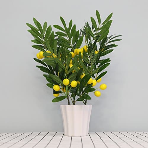 PAFHXY Home Decor Fruit Orange Cherry Tree Emulate Bonsai Simulation Decorative Artificial Flowers Fake Green Pot Plants Ornaments (Lemon)