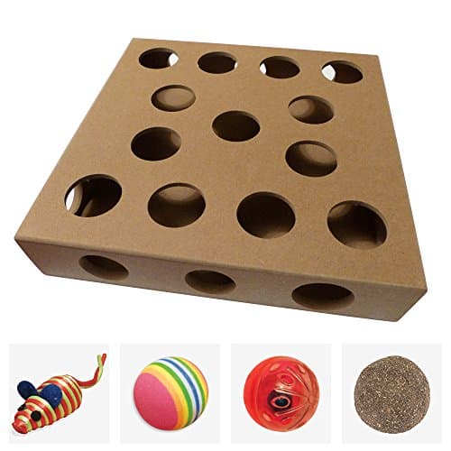 Unique Design, New to the US for 2017 - Interactive Indoor Kitten and Cat Toy Puzzle Box - From UK TV The Secret Life of Kittens - Four Cat Toys included, 3 Balls and a Mouse - Great Gift for any Cat