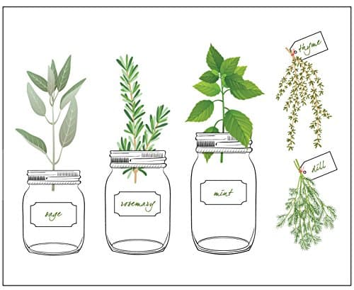 Herb Garden 8" x 10" Wall Print