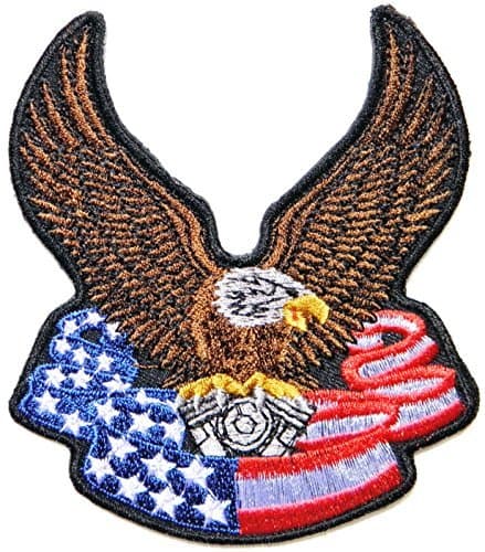 3.75" x 4.5" Eagle Hawk Bald V Twin USA Flag Biker Rider Hippie Punk Rock Heavy Metal Iron on Patch Sew Iron on Embroidered Sign Badge