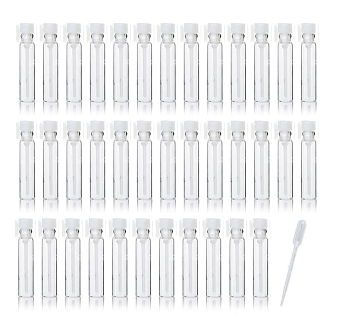 100PCS 1ml 1/4 Dram Empty Glass Perfume Sample Bottle Vials with 3ml 1pcs Droppers Samplers for Essential Oils Aromatherapy caps with